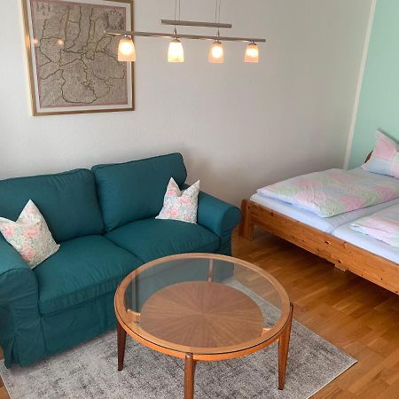 Haemmerle Fewo Holiday Apartment - Green コンスタンツ エクステリア 写真
