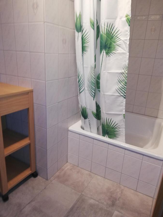 Haemmerle Fewo Holiday Apartment - Green コンスタンツ エクステリア 写真