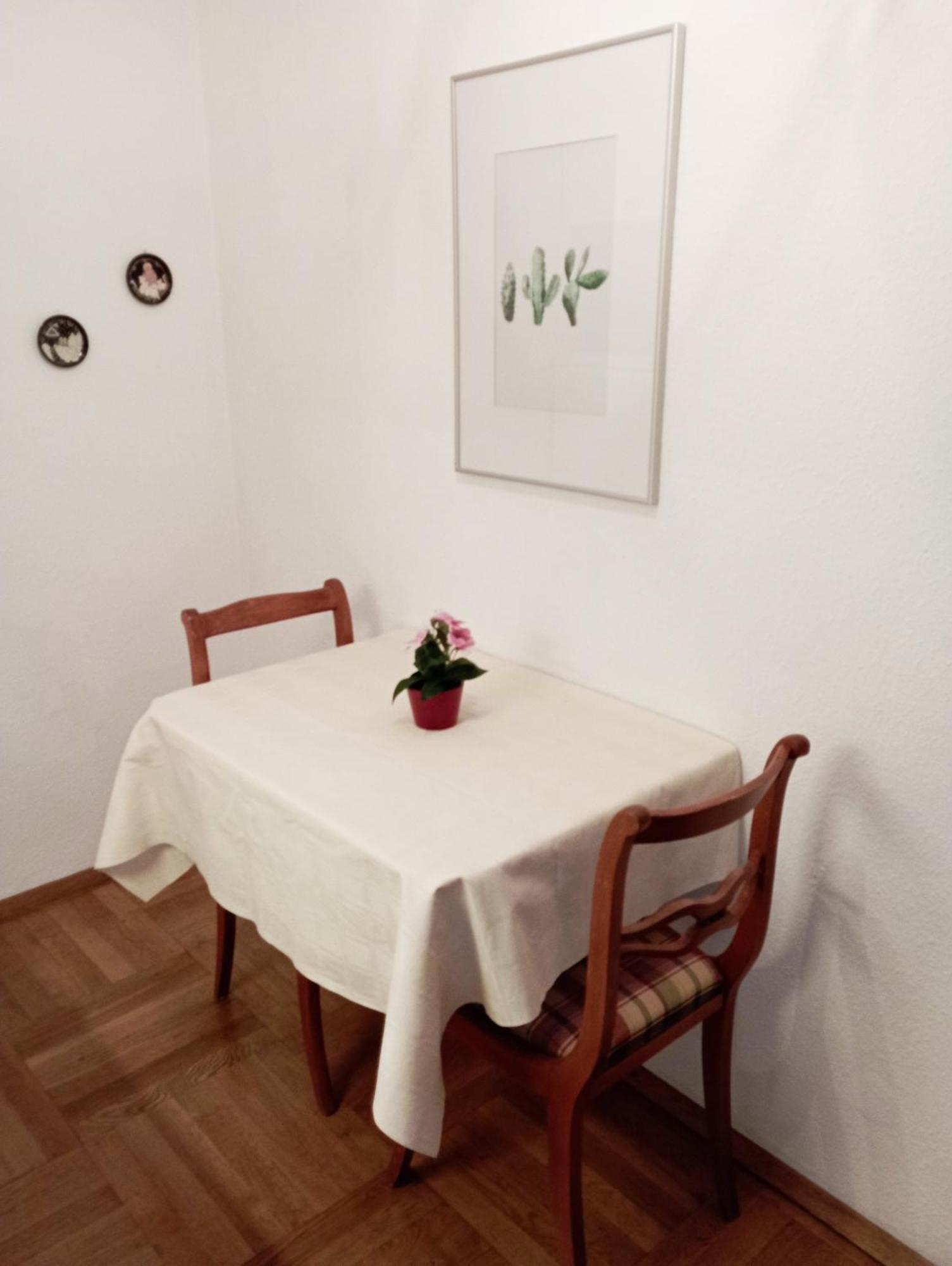 Haemmerle Fewo Holiday Apartment - Green コンスタンツ エクステリア 写真