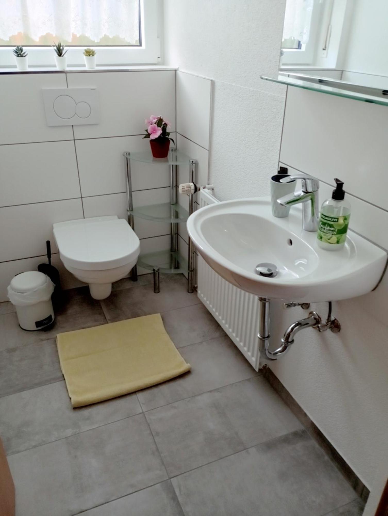 Haemmerle Fewo Holiday Apartment - Green コンスタンツ エクステリア 写真
